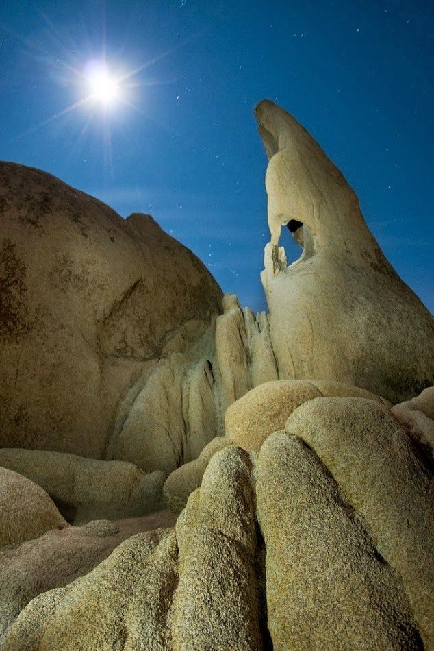 Awesome View Of Joshua Tree National Park in California, USA