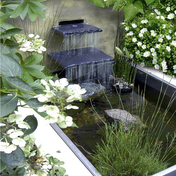 Backyard-Pond-Design