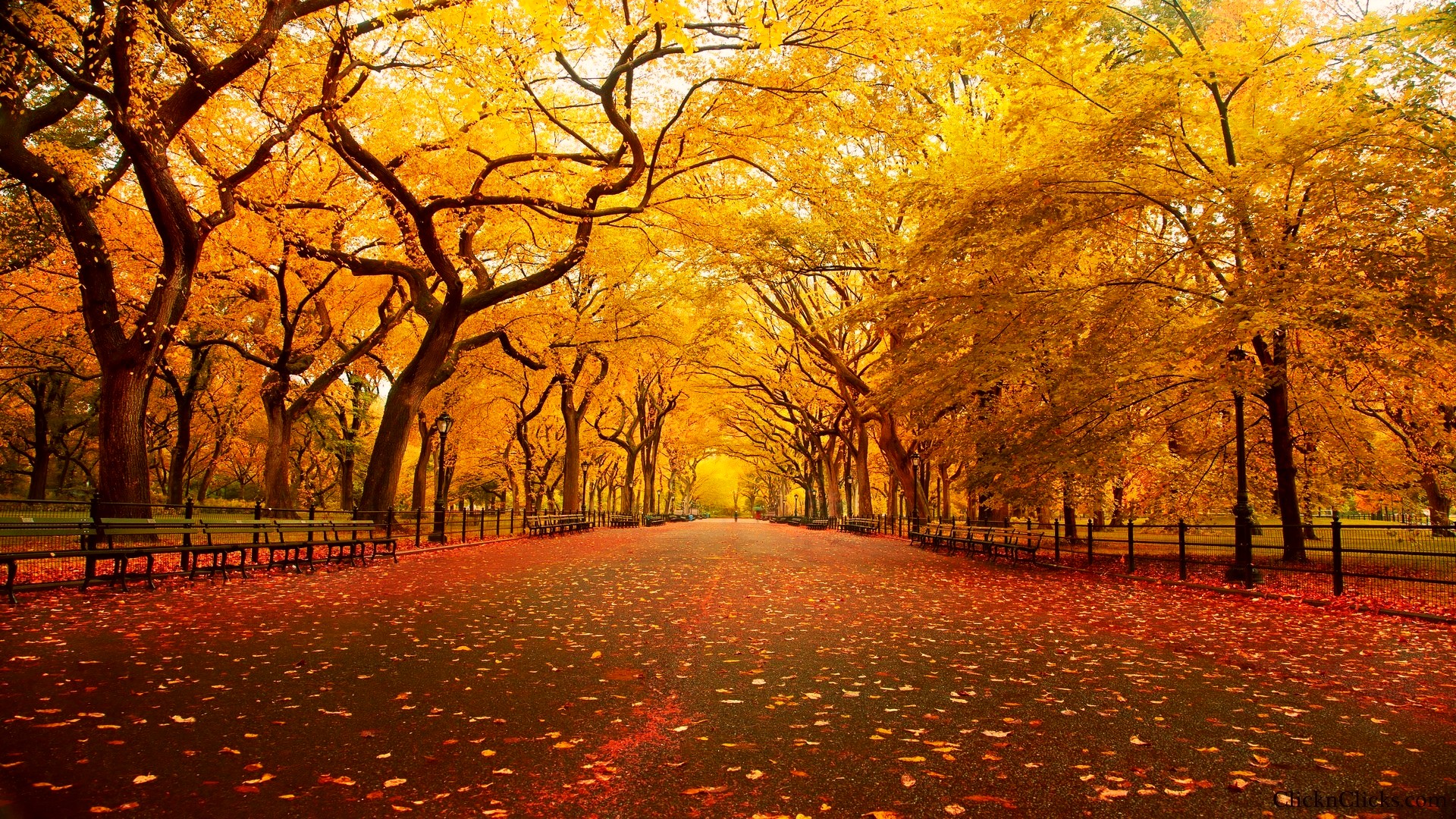 Central-Park-New-York-Autumn