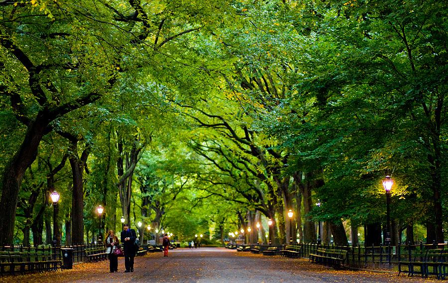 Central-Park-New-York-image