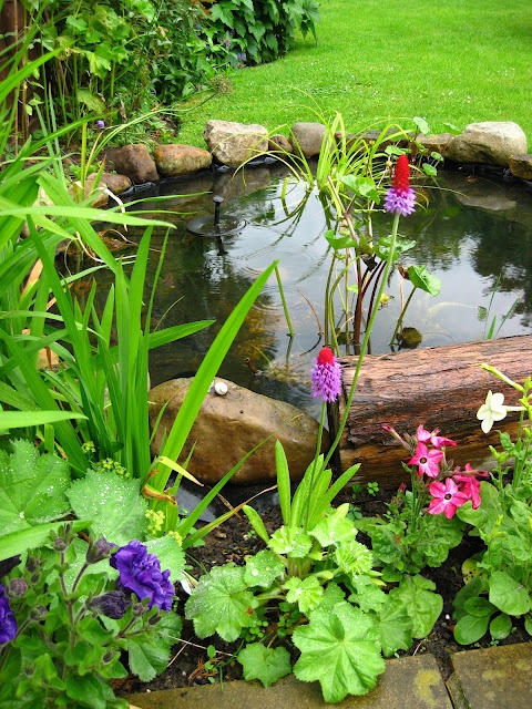 Coolest-Backyard-Pond-Design-Ideas