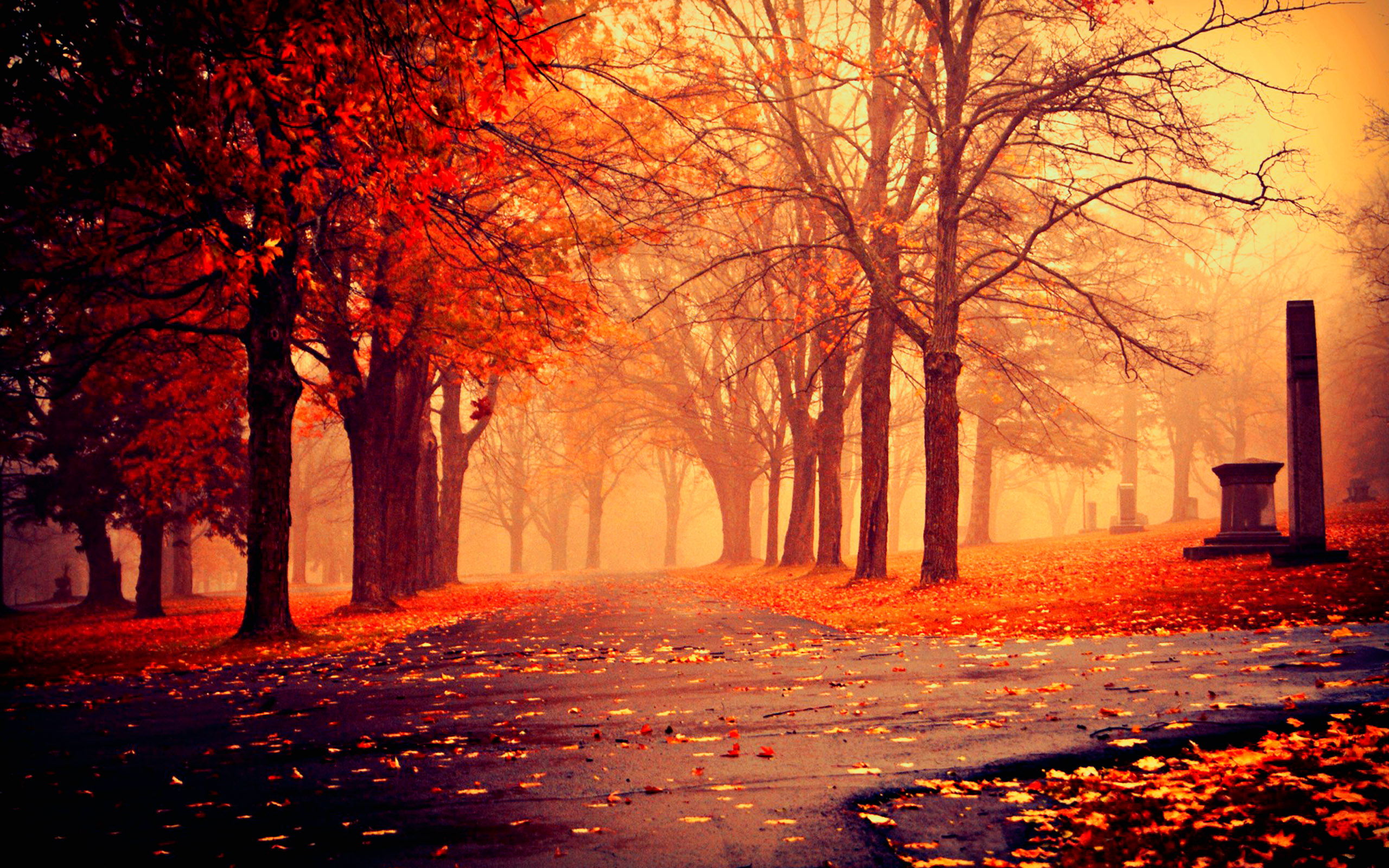 Fall-Beautiful-HD-Wallpaper
