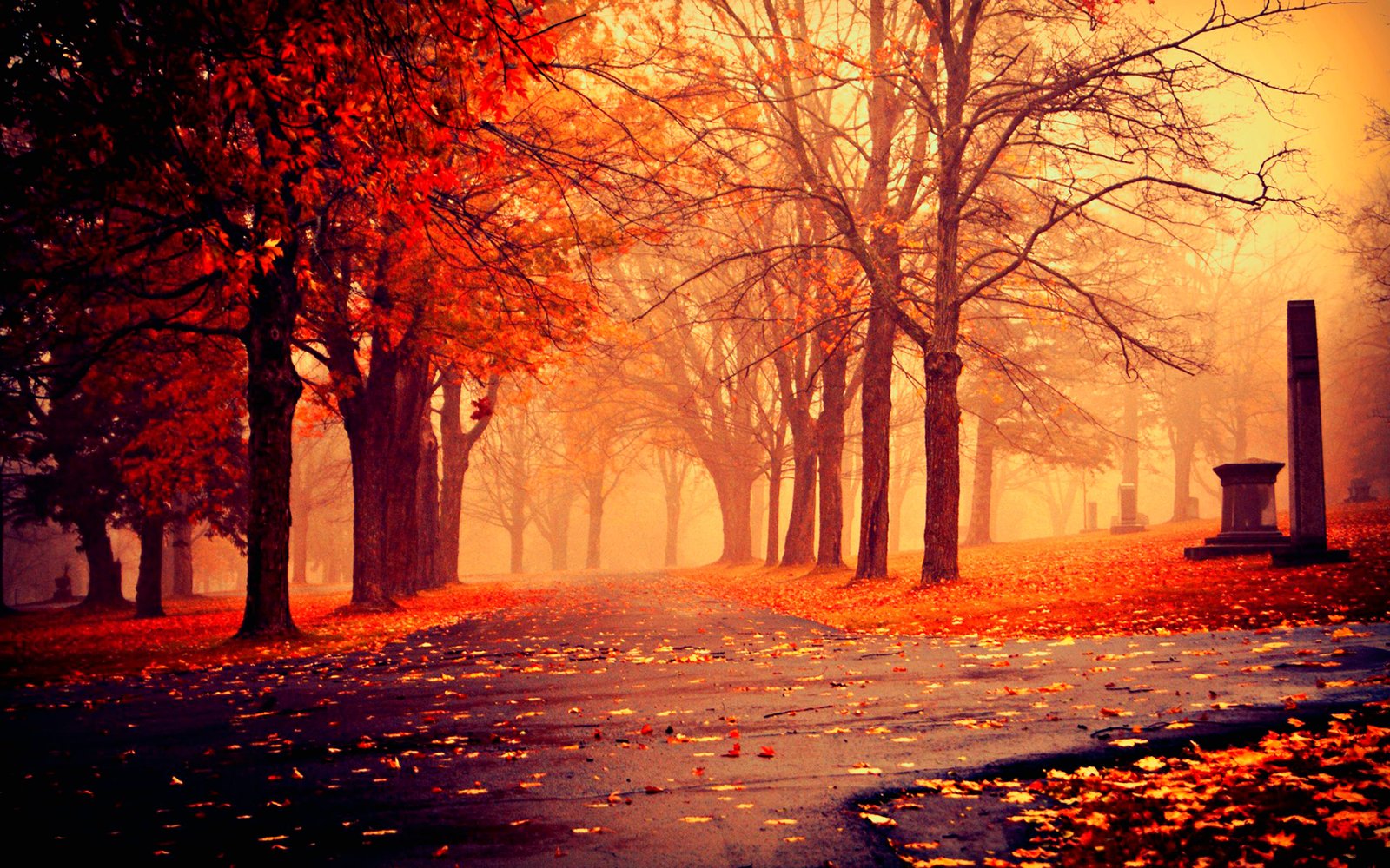 Fall-Beautiful-HD-Wallpaper