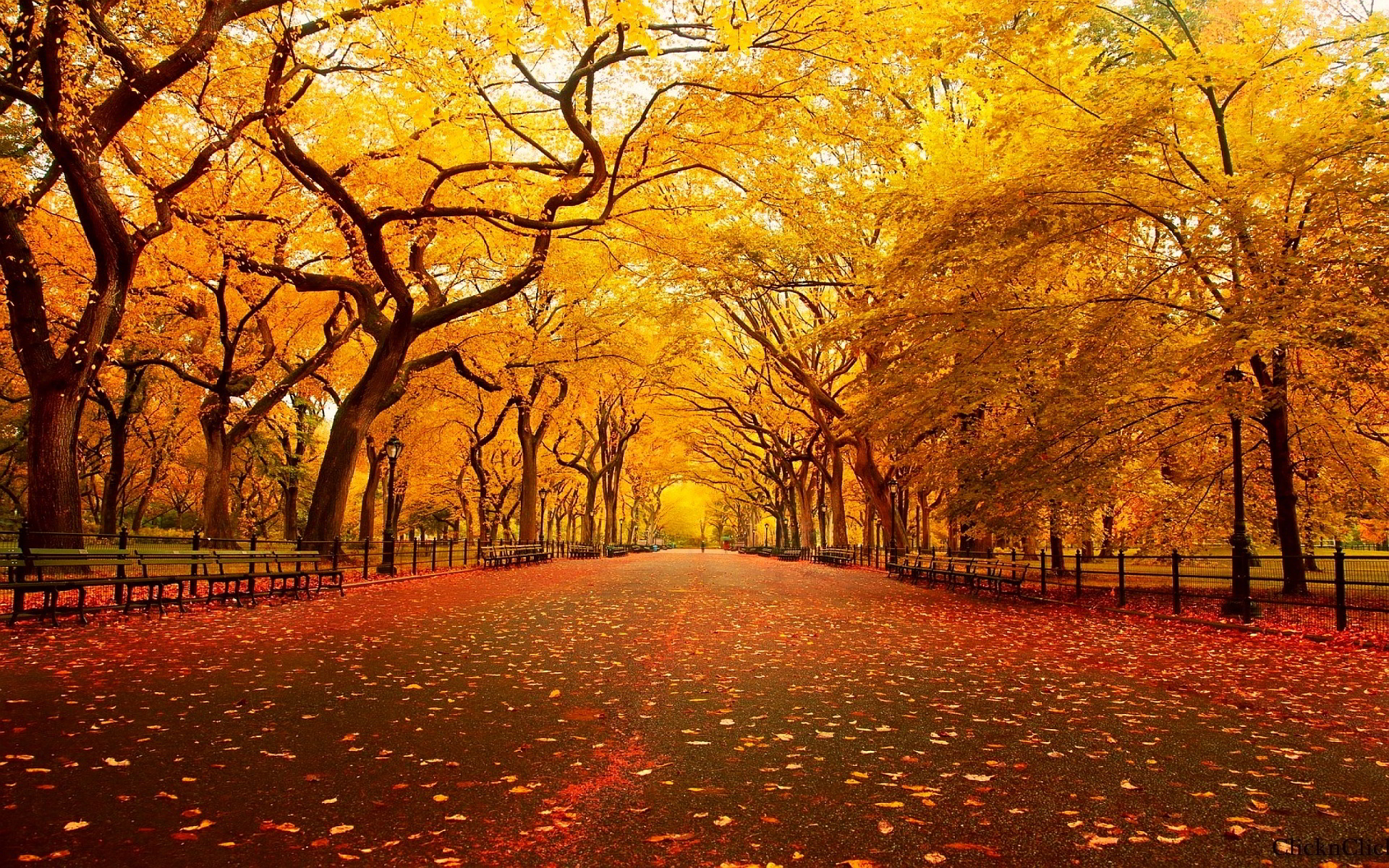 HD-Autumn-Wallpapers