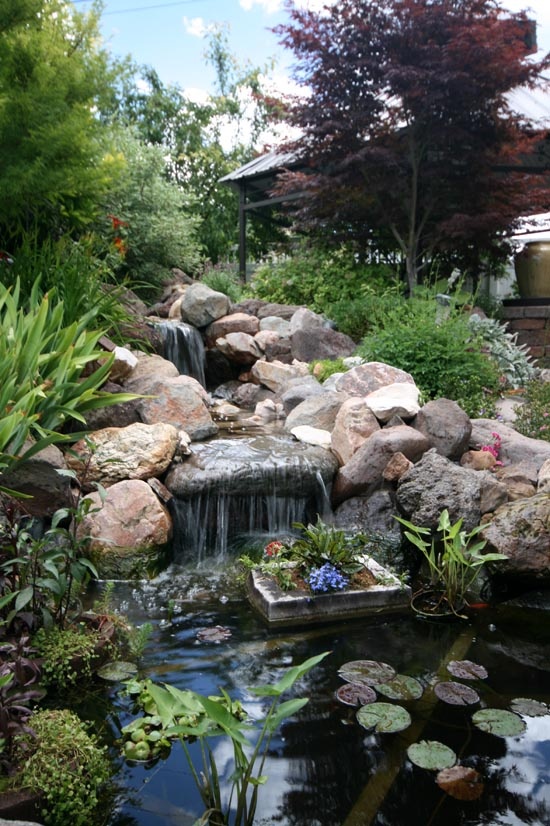 Modern-Backyard-Pond-Design-Ideas