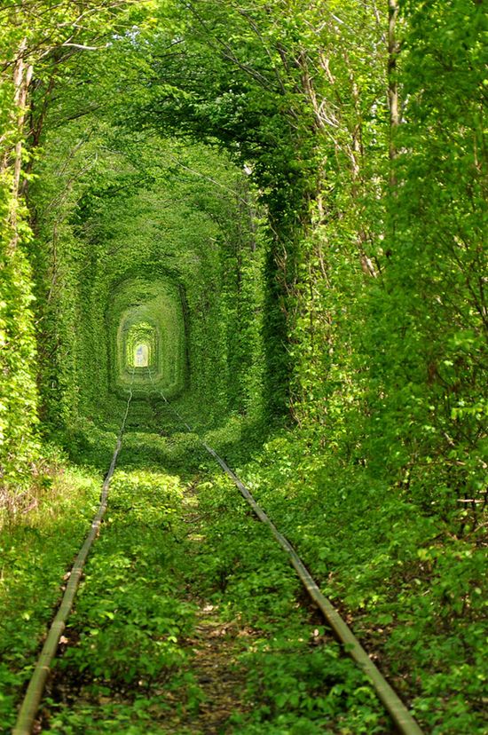 Tunnel-of-Love-in-Ukraine