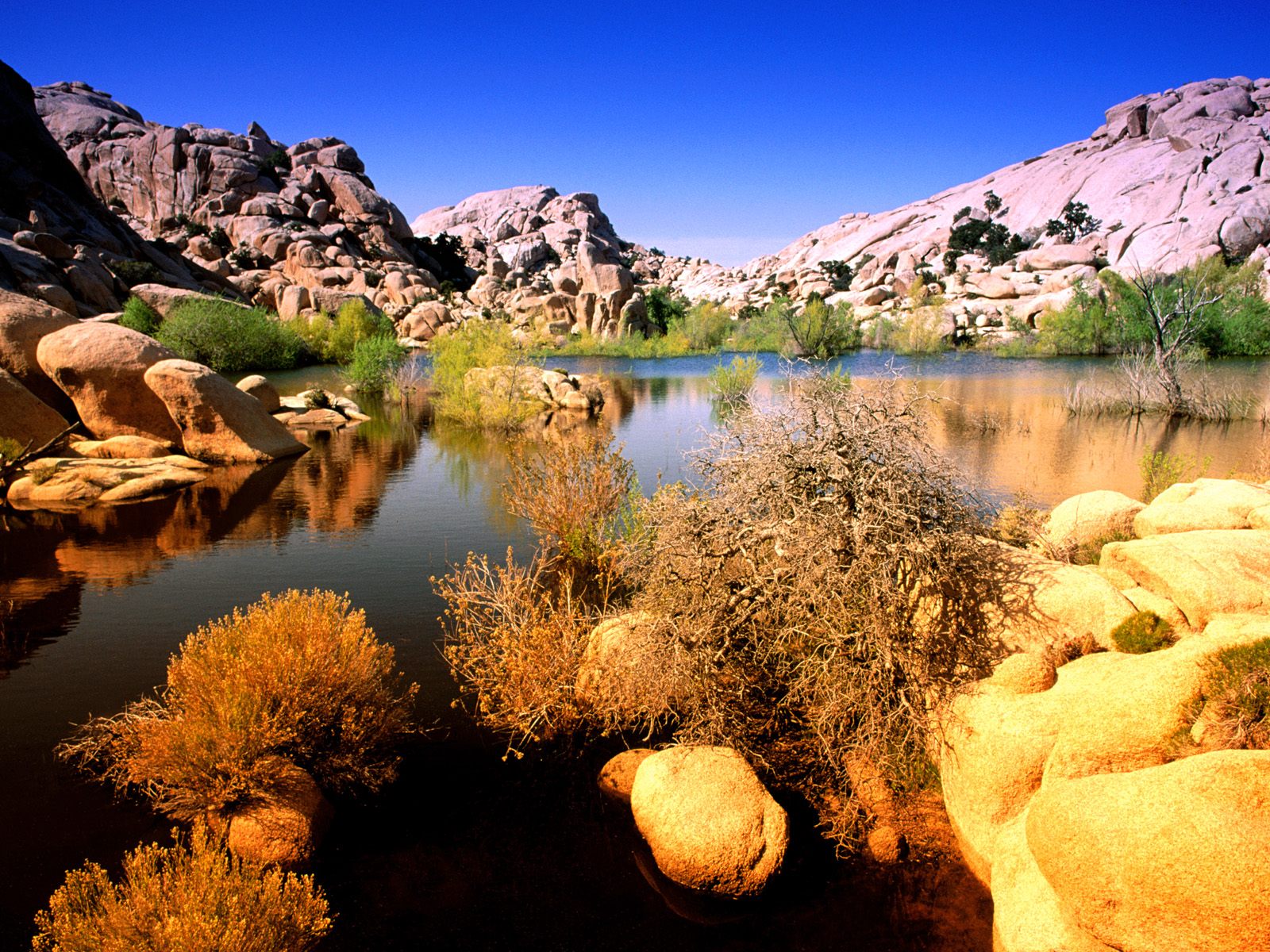 landscapes_technicolor_terrain_joshua_tree_national_park_california