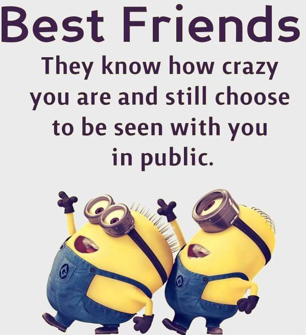 Minions Friendship Quotes
