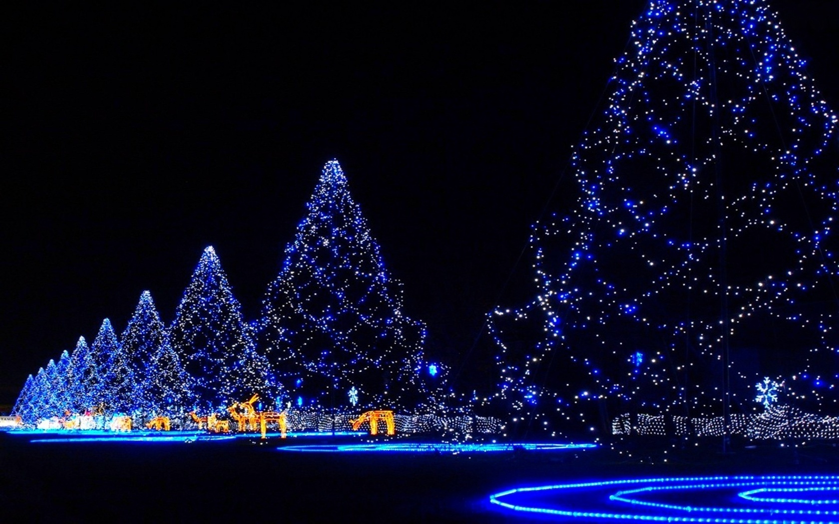 Christmas Tree Blue Lighting Wallpaper
