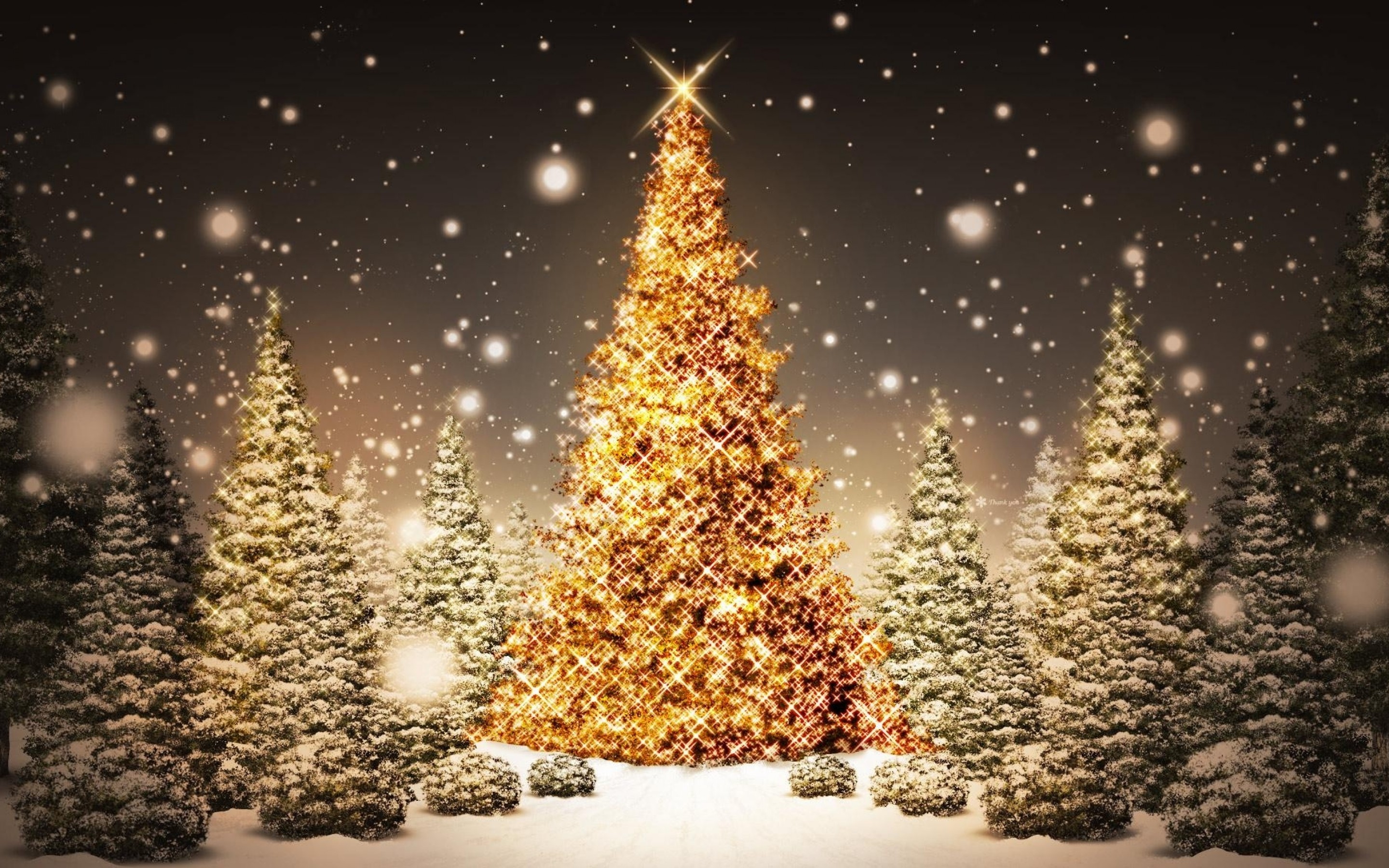 Christmas Tree Lights Background