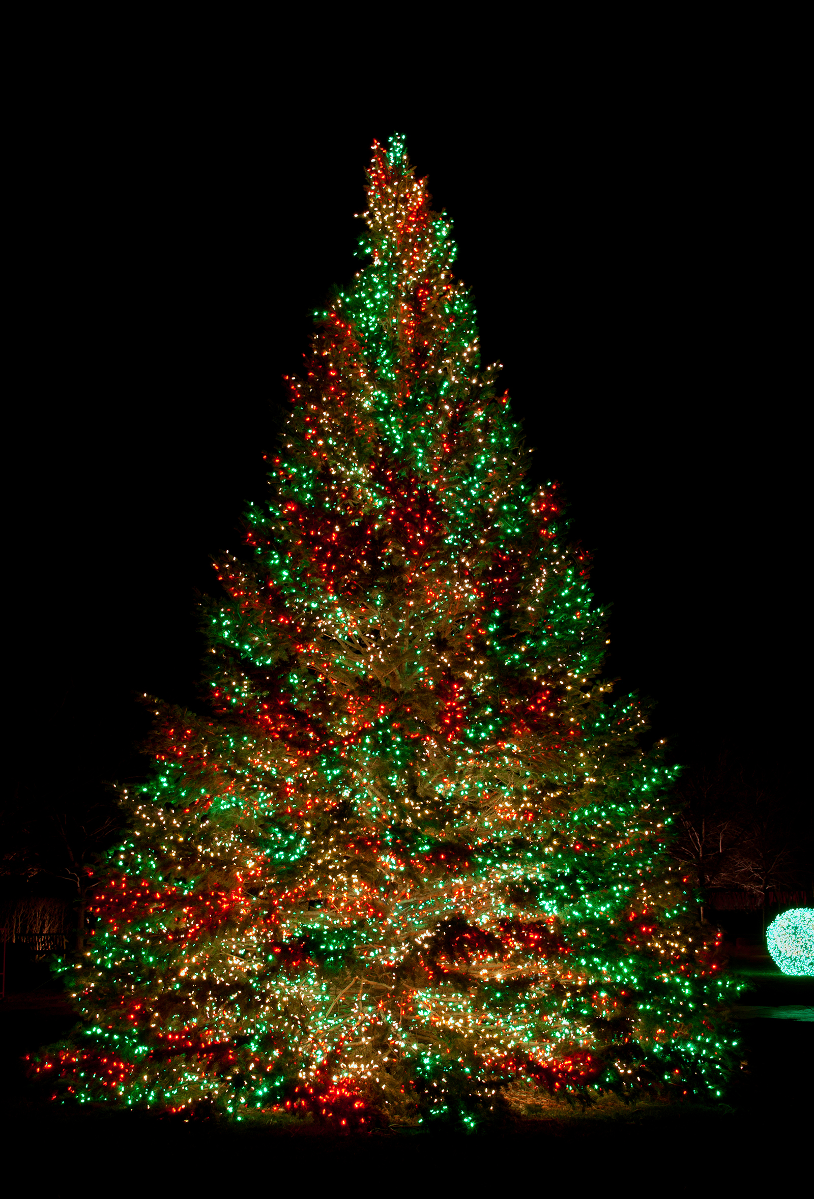 christmas-tree-led-lights
