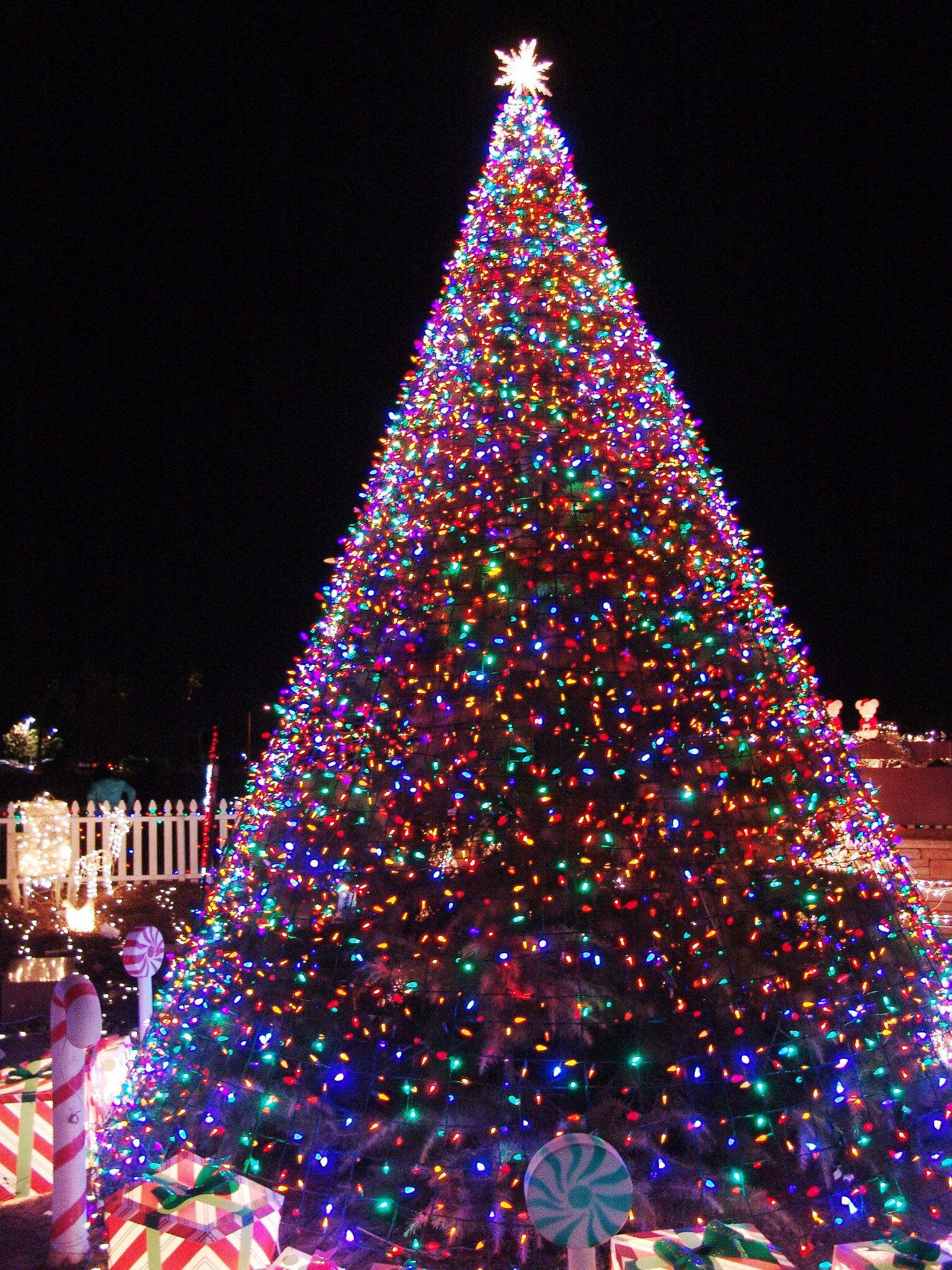 Christmas Tree With Lights 