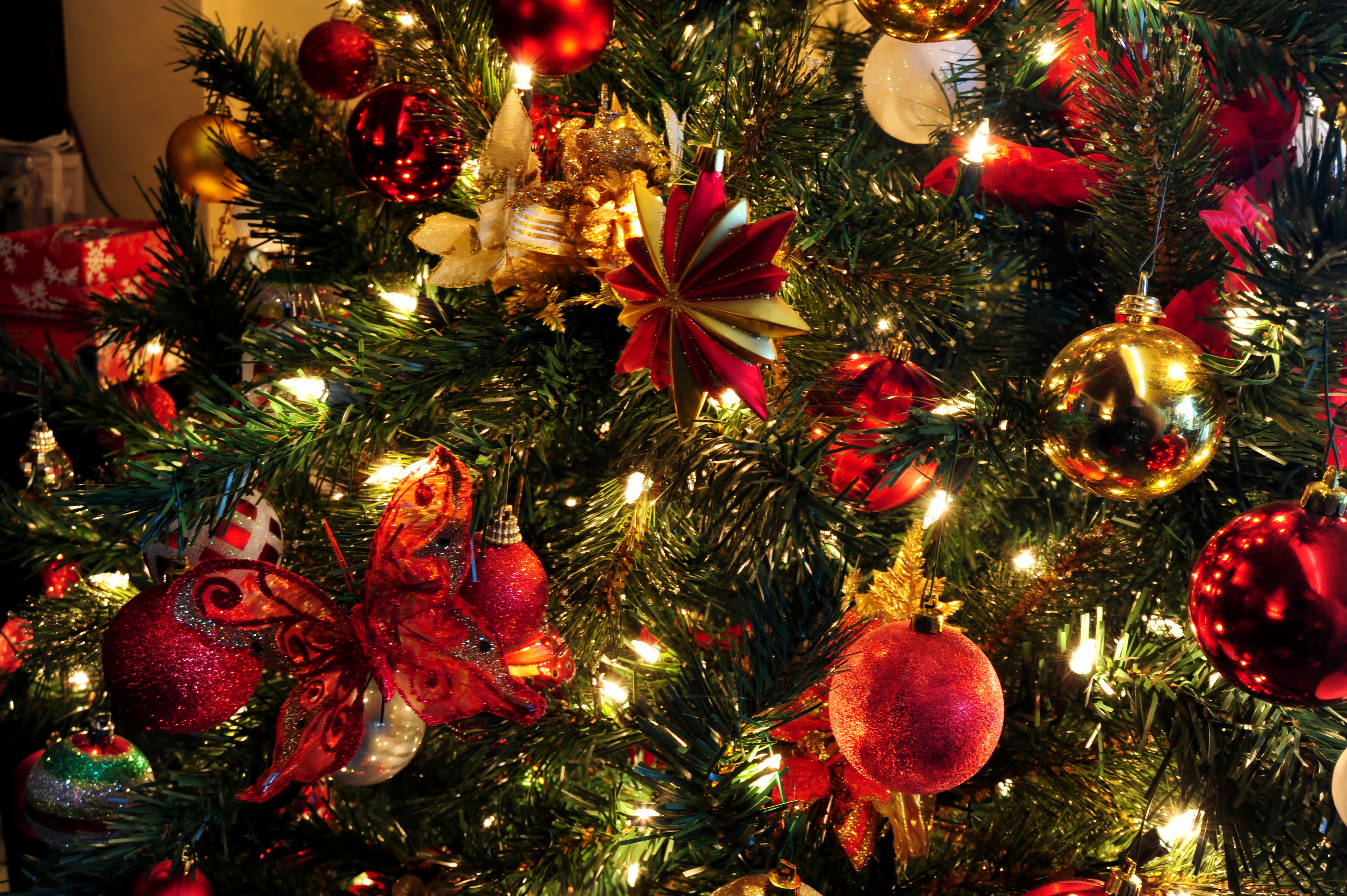 led-christmas-tree-lights