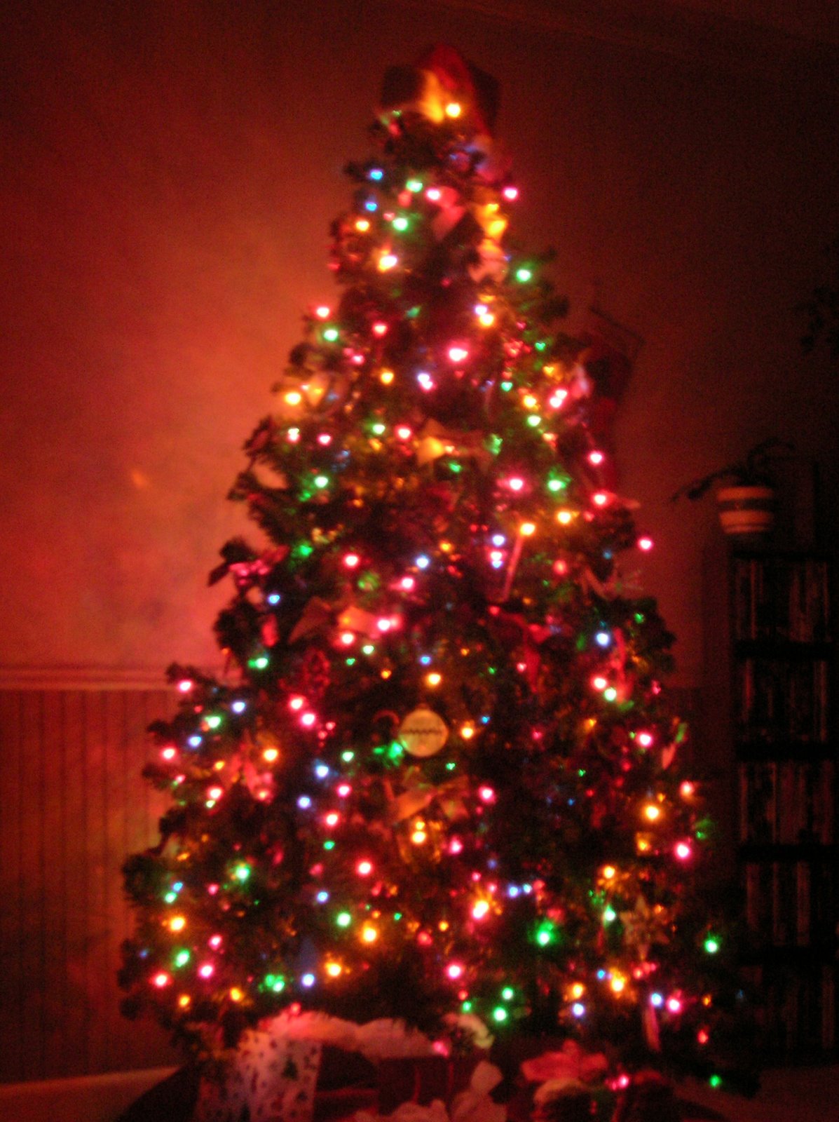 lovely-christmas-tree-lights